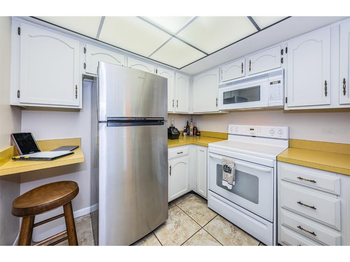 101 Mariner Drive #101 Tarpon Springs FL 34689 - GULF OF MEXICO T3501209 image10