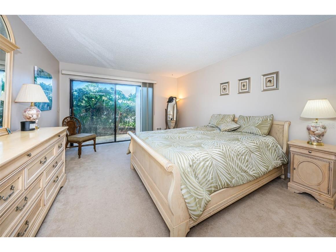 101 Mariner Drive #101 Tarpon Springs FL 34689 - GULF OF MEXICO T3501209 image12