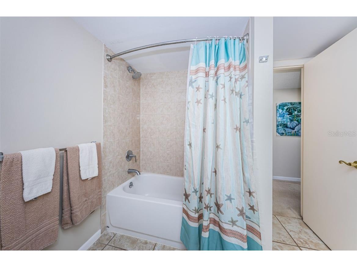 101 Mariner Drive #101 Tarpon Springs FL 34689 - GULF OF MEXICO T3501209 image14