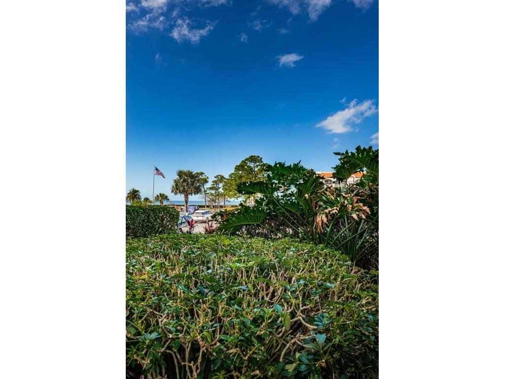 101 Mariner Drive #101 Tarpon Springs FL 34689 - GULF OF MEXICO T3501209 image16