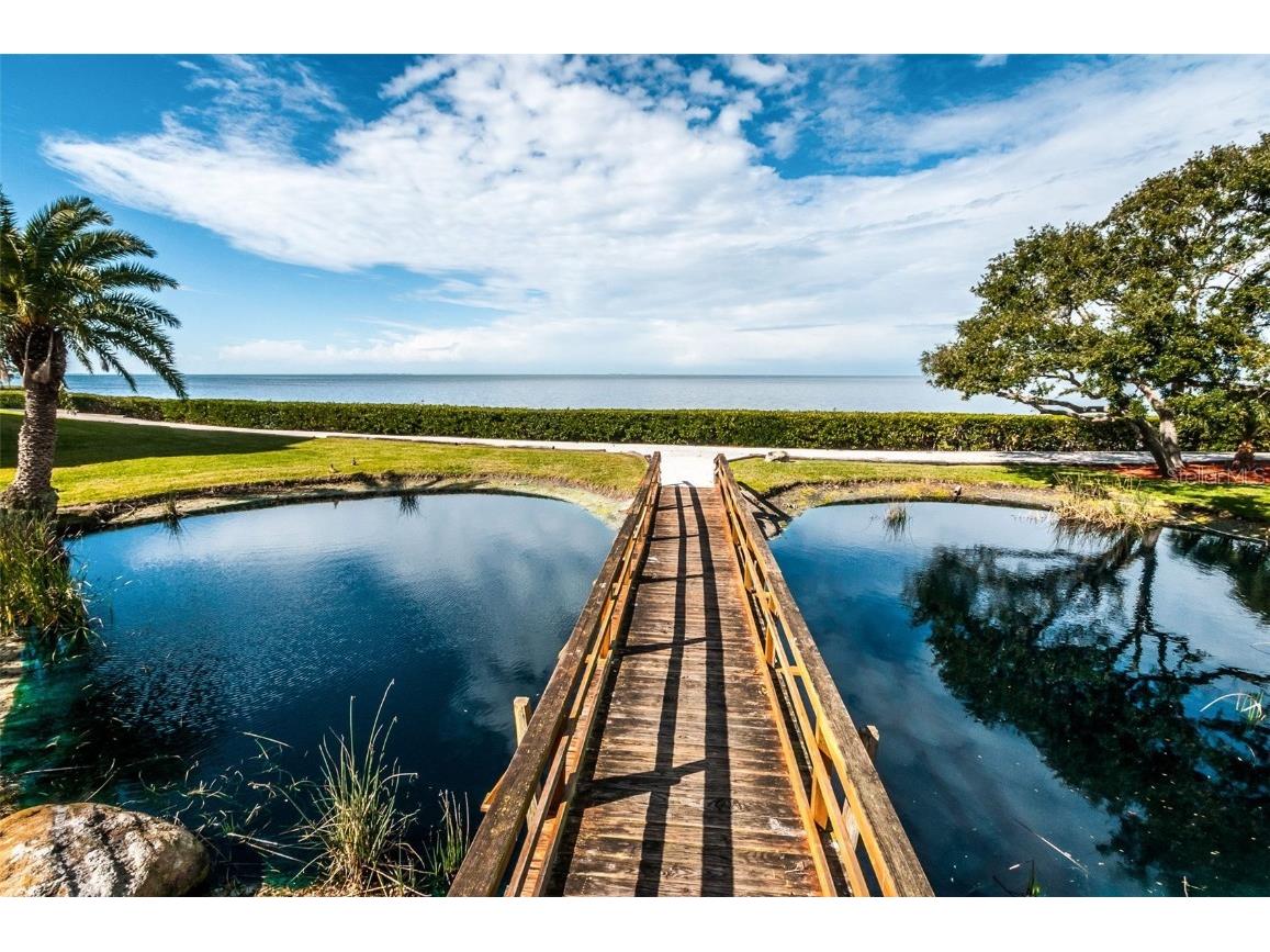 101 Mariner Drive #101 Tarpon Springs FL 34689 - GULF OF MEXICO T3501209 image20