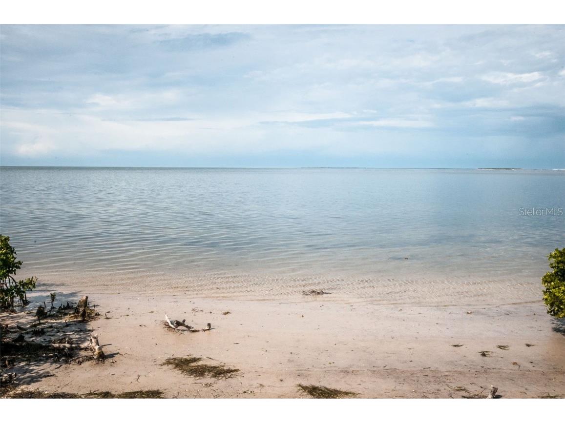 101 Mariner Drive #101 Tarpon Springs FL 34689 - GULF OF MEXICO T3501209 image23