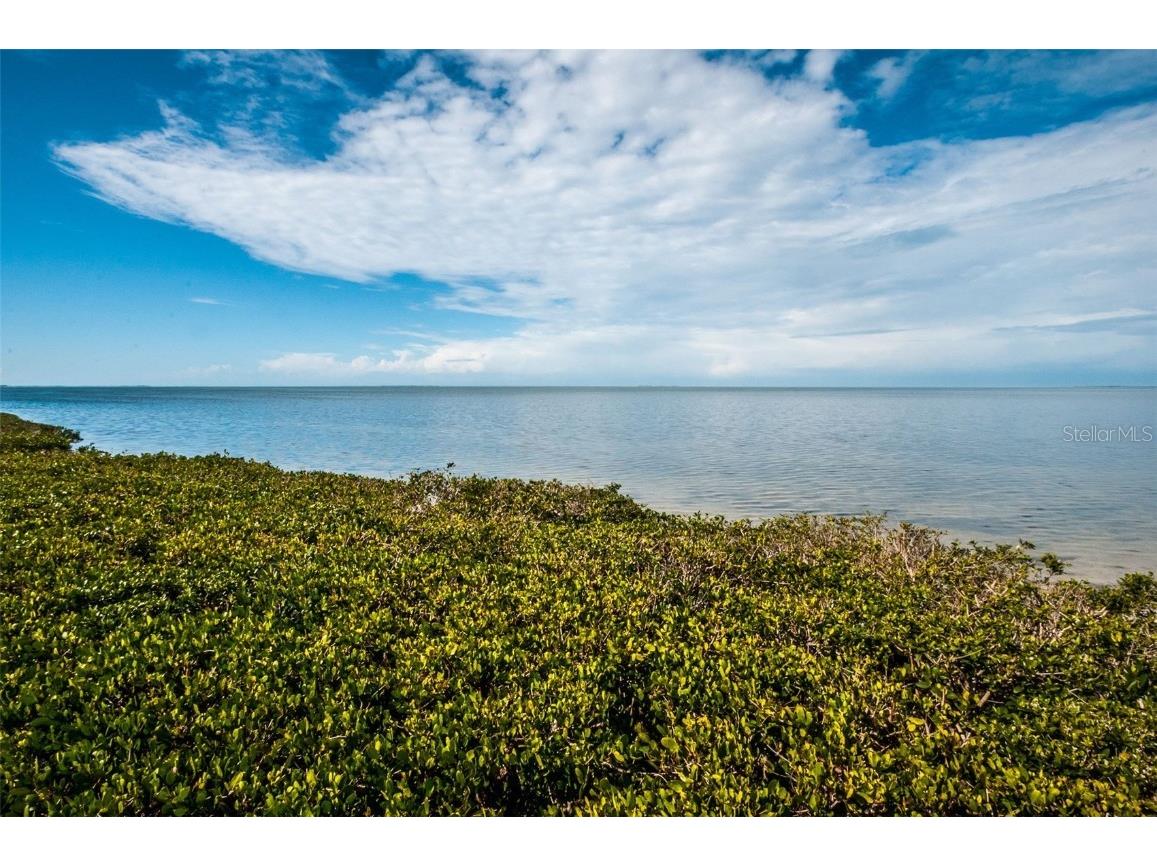 101 Mariner Drive #101 Tarpon Springs FL 34689 - GULF OF MEXICO T3501209 image24