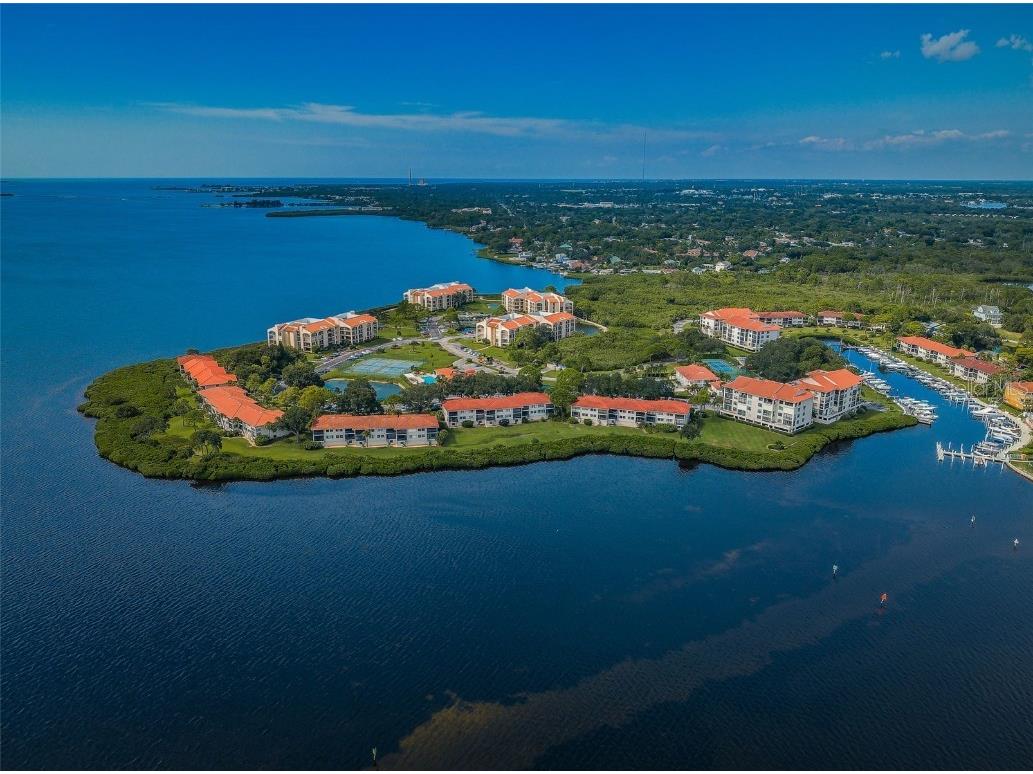 101 Mariner Drive #101 Tarpon Springs FL 34689 - GULF OF MEXICO T3501209 image35