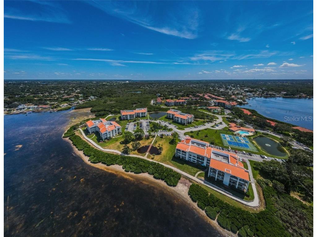 101 Mariner Drive #101 Tarpon Springs FL 34689 - GULF OF MEXICO T3501209 image39