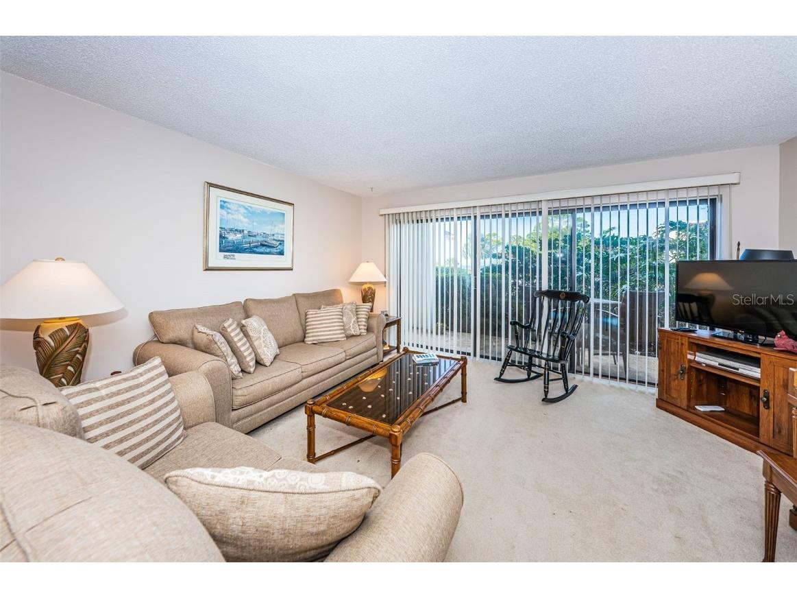 101 Mariner Drive #101 Tarpon Springs FL 34689 - GULF OF MEXICO T3501209 image6