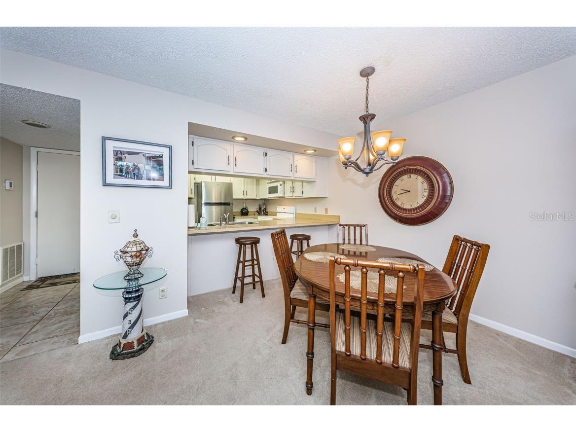 101 Mariner Drive #101 Tarpon Springs FL 34689 - GULF OF MEXICO T3501209 image7