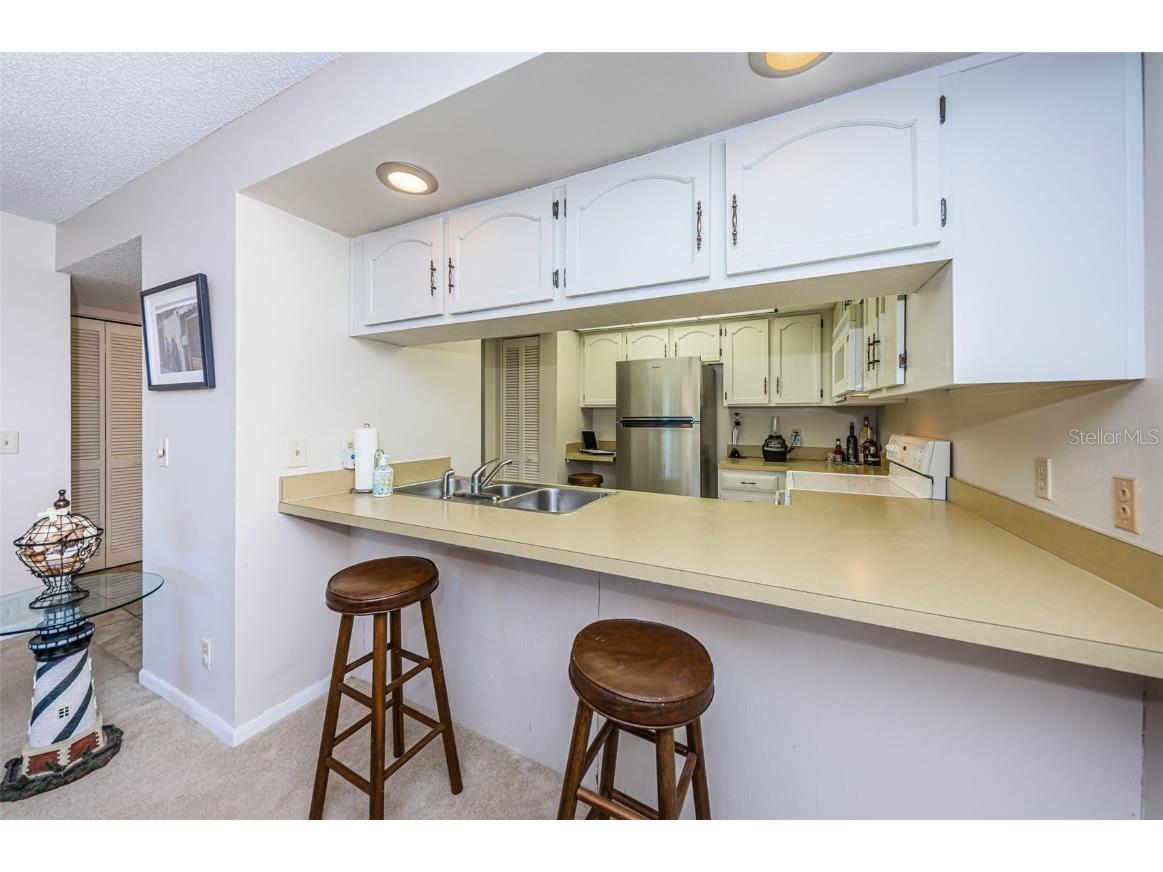 101 Mariner Drive #101 Tarpon Springs FL 34689 - GULF OF MEXICO T3501209 image9