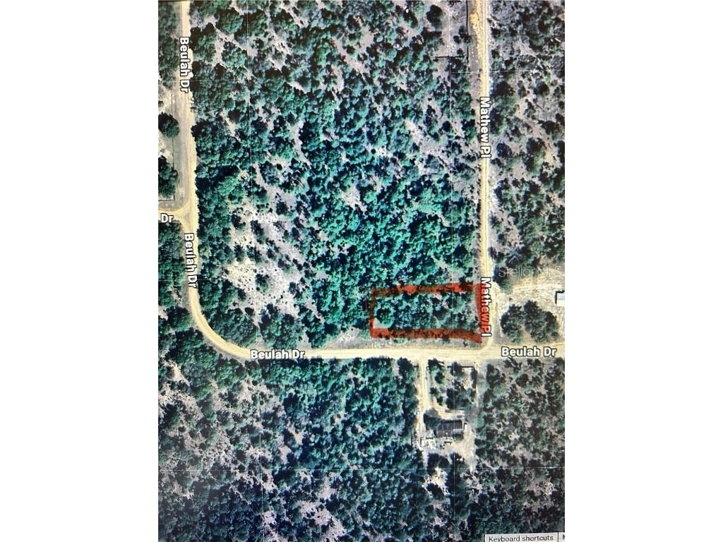 101 Matthew Place Hawthorne FL 32640 OM705576 image1