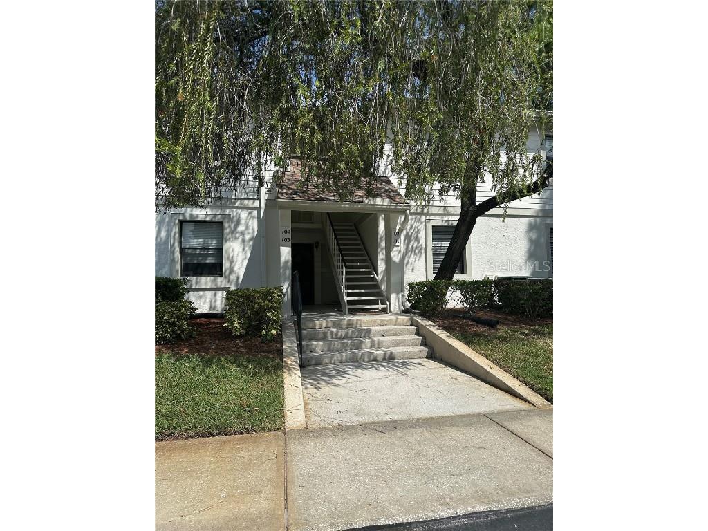 101 Meadow Lane #71 Oldsmar FL 34677 W7858183 image1