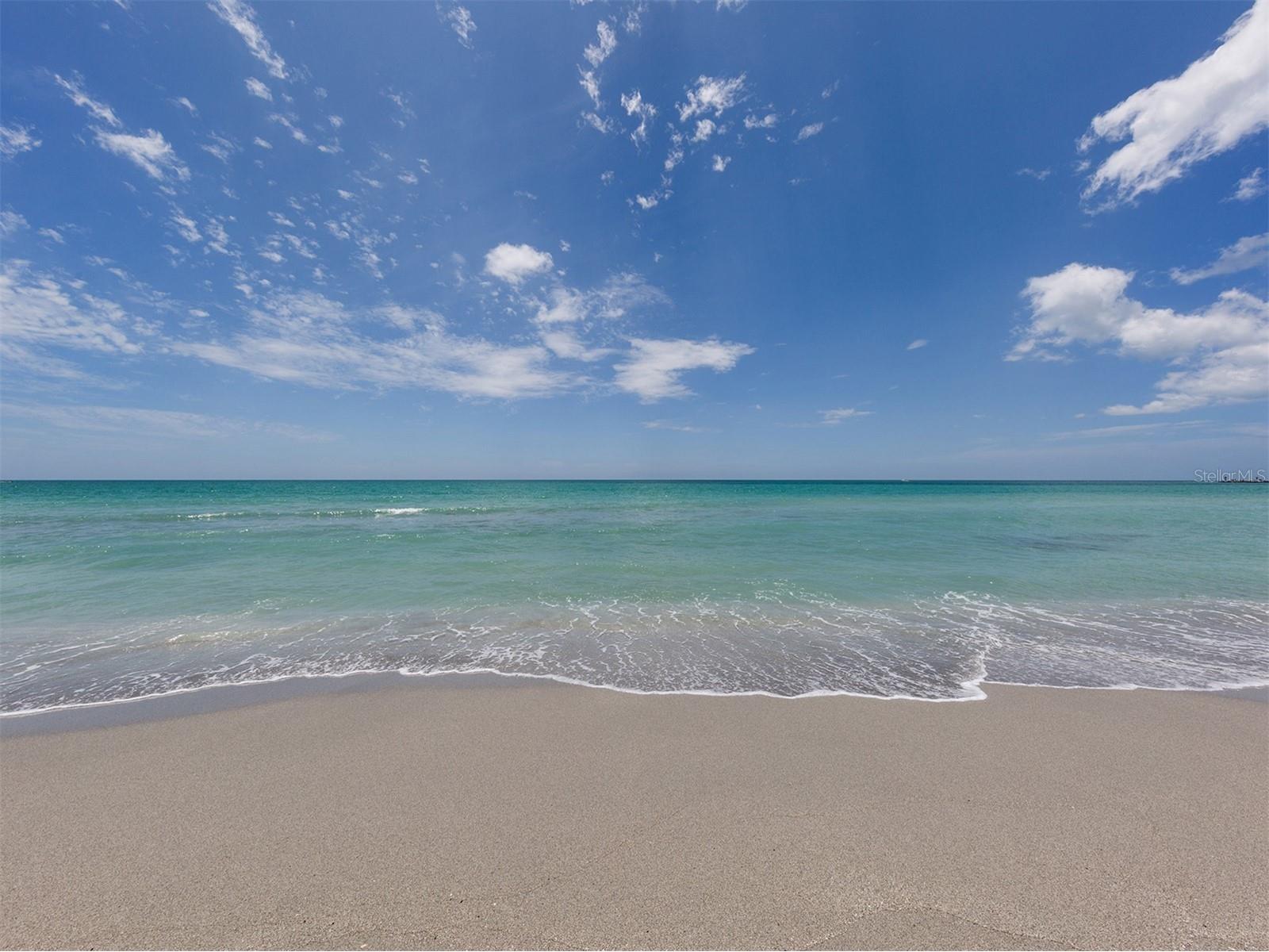 101 Mestre Place North Venice FL 34275 N6144084 image56