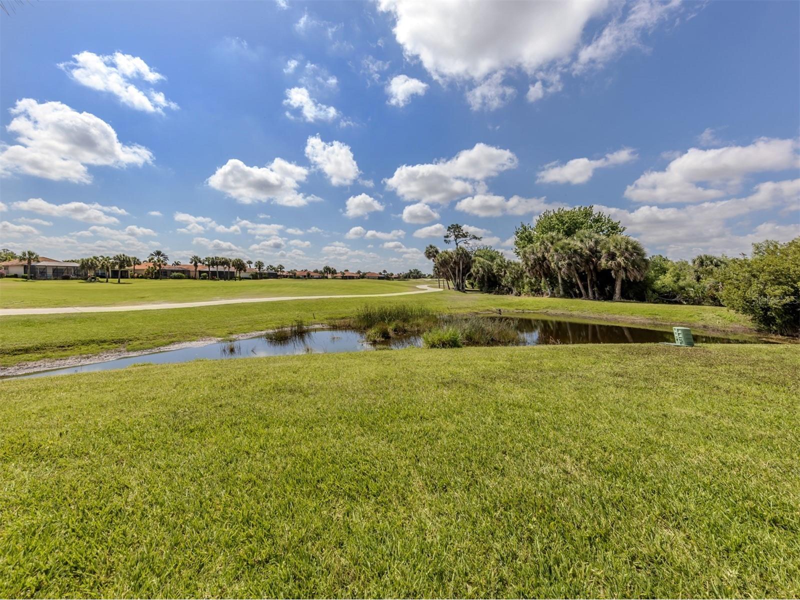 101 Mestre Place North Venice FL 34275 N6144084 image8