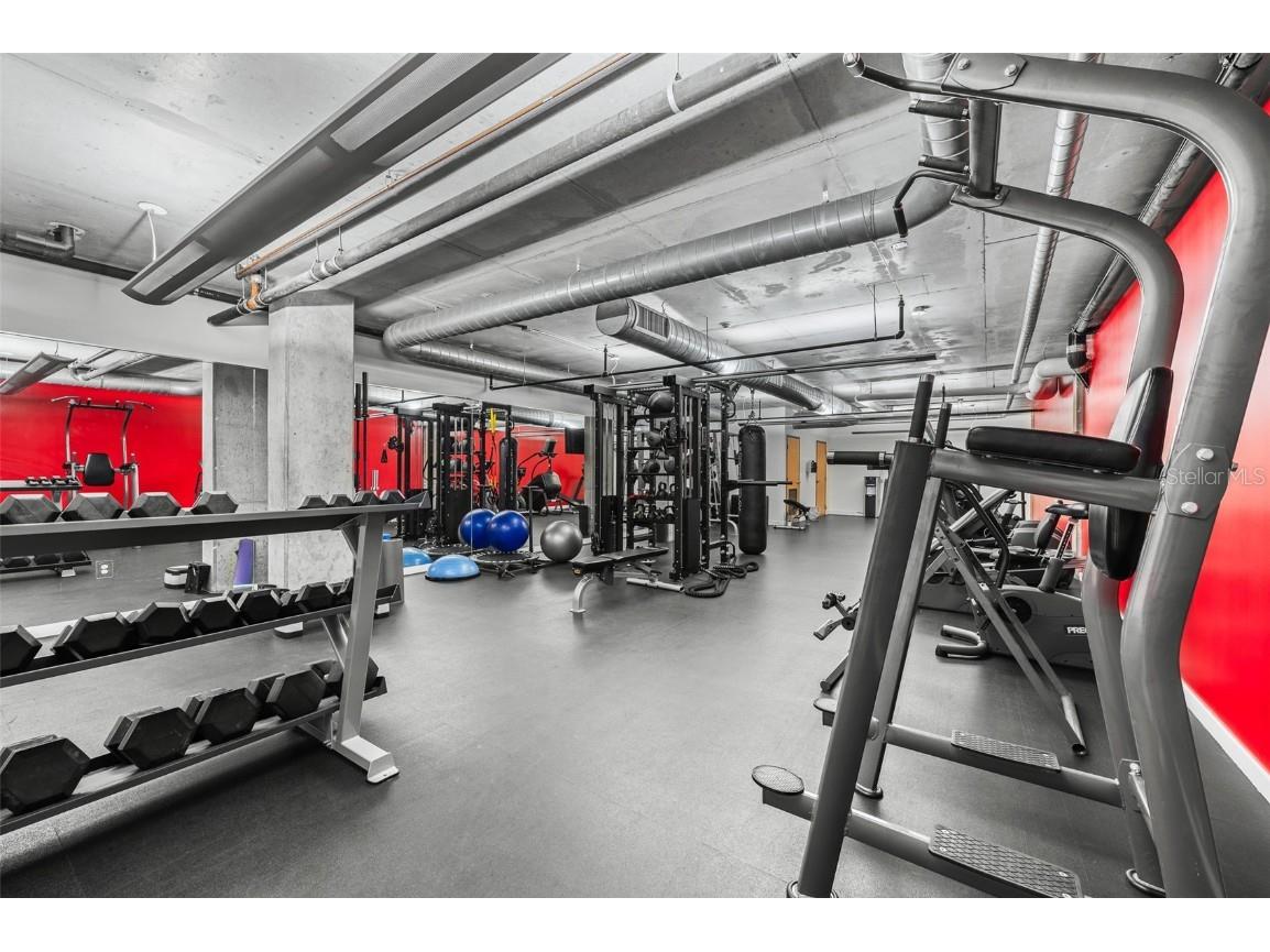 101 N 12th Street #206 Tampa FL 33602 TB8368787 image27