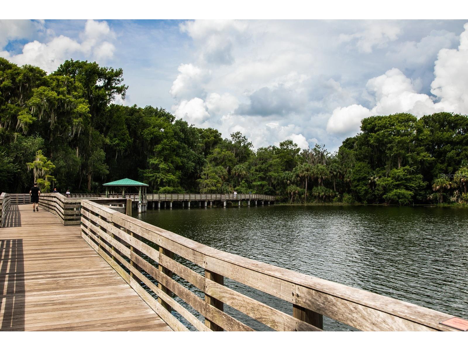 101 N Grandview Street #1 Mount Dora FL 32757 G5112046 image59