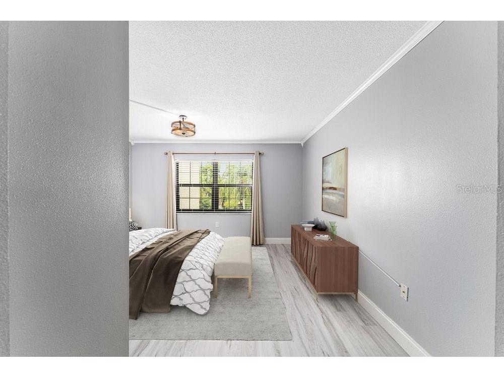 101 N Grandview Street #205 Mount Dora FL 32757 G5098763 image19