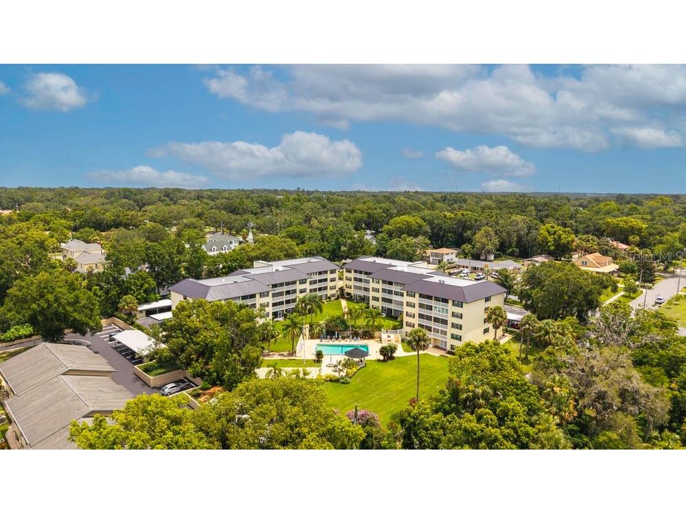 101 N Grandview Street #205 Mount Dora FL 32757 G5098763 image33