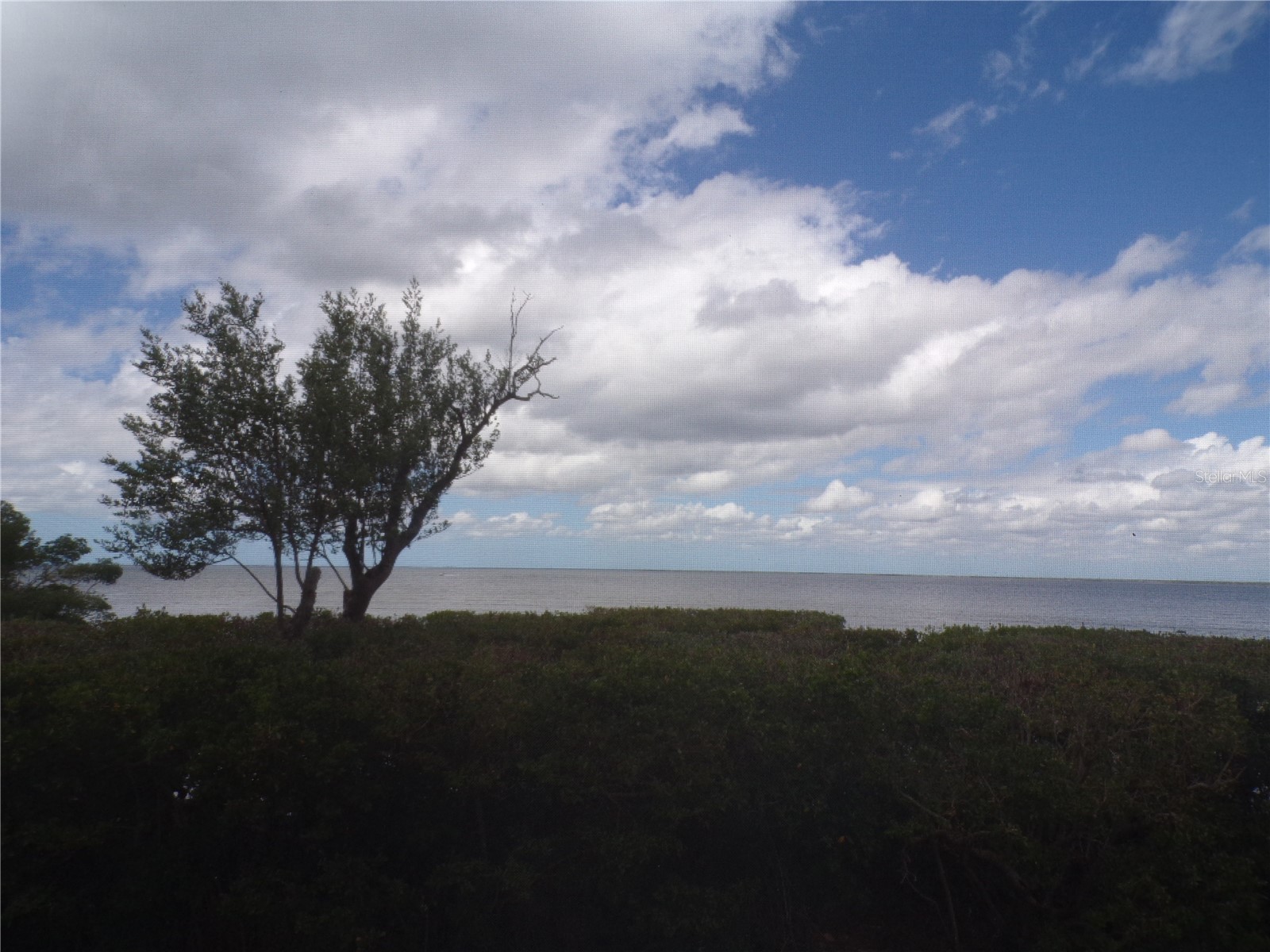 101 N Marion Court #114 Punta Gorda FL 33950 C7524292 image5