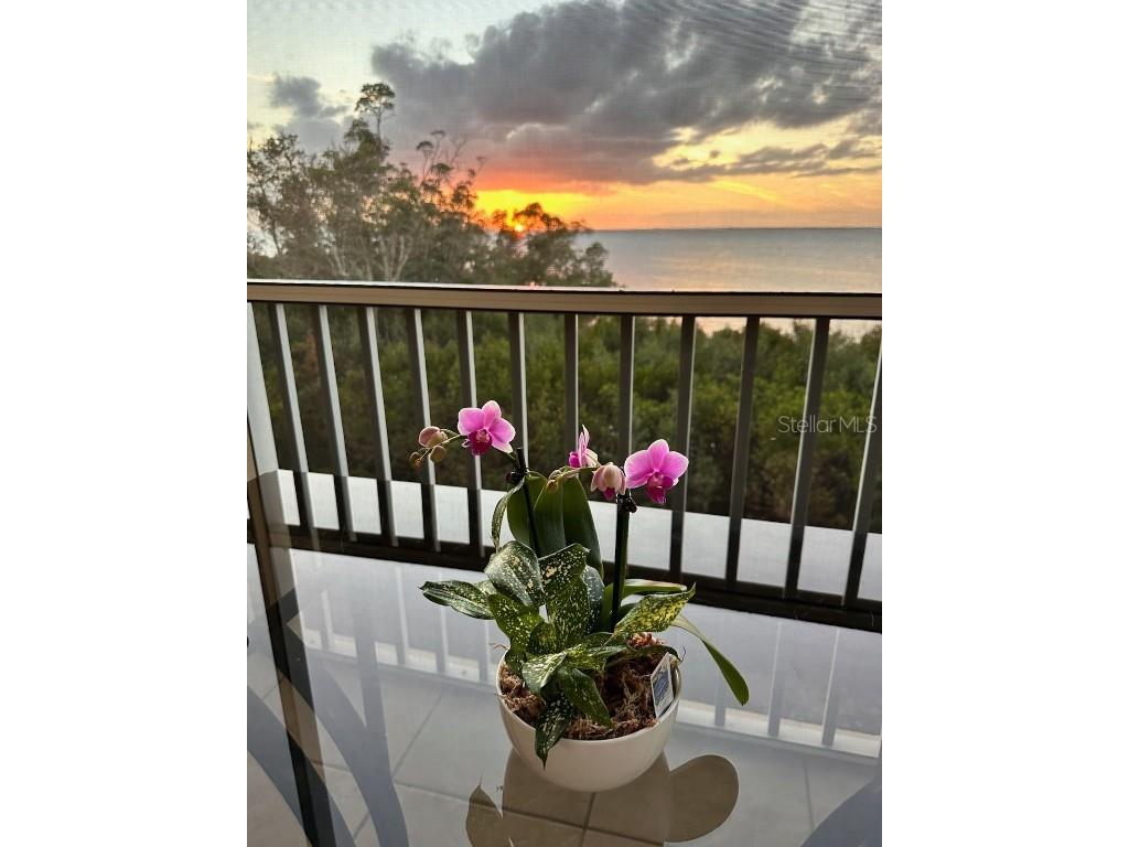 101 N Marion Court #122 Punta Gorda FL 33950 - CHARLOTTE HARBOR C7499283 image3