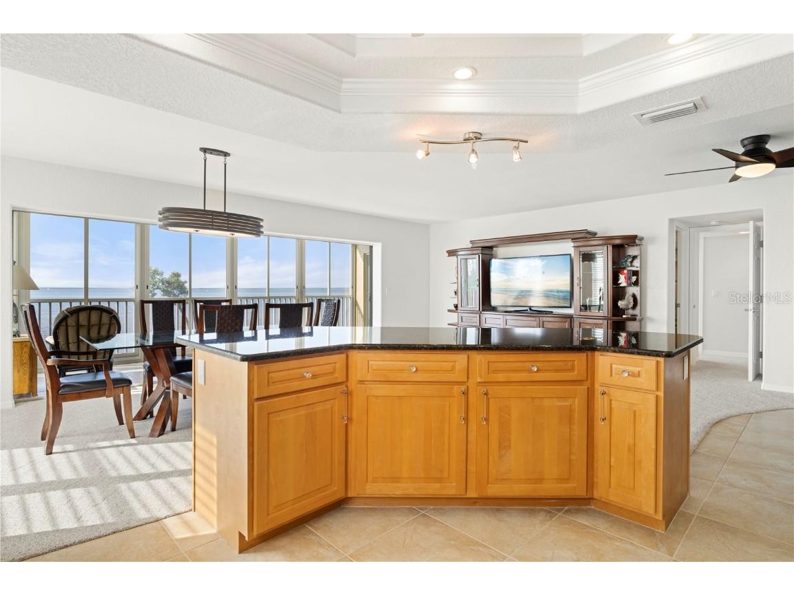 101 N Marion Court #221 Punta Gorda FL 33950 - CHARLOTTE HARBOR C7518511 image25