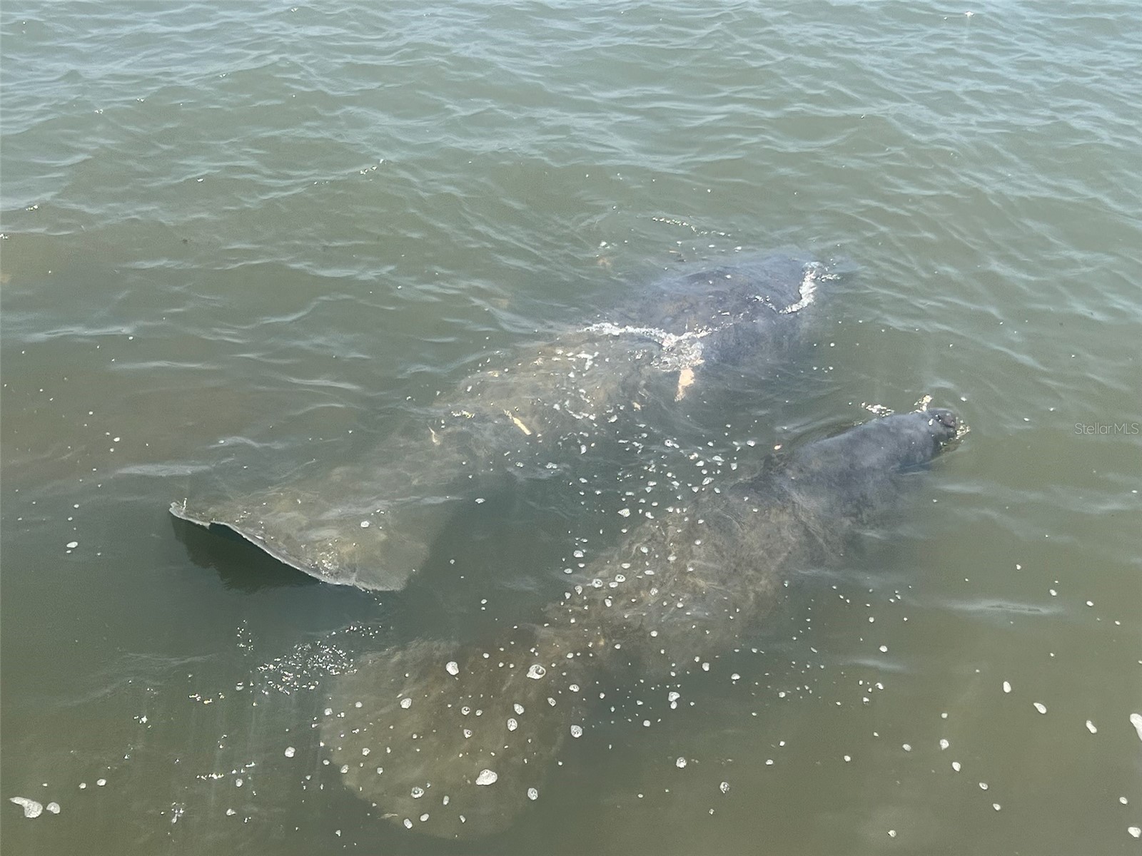 101 N Riverside Drive #7070 New Smyrna Beach FL 32168 - INTRACOASTAL O6373701 image54