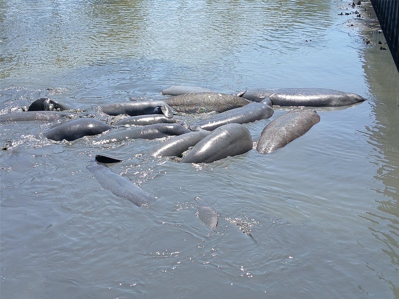 101 N Riverside Drive #7070 New Smyrna Beach FL 32168 - INTRACOASTAL O6373701 image55