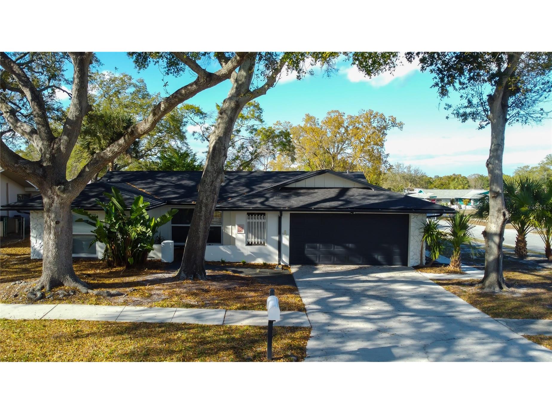 101 Nestlebranch Drive Safety Harbor FL 34695 TB8469971 image1