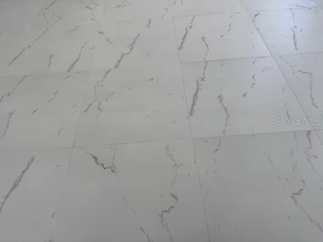 101 NW 10th Terrace Cape Coral FL 33993 C7509917 image6