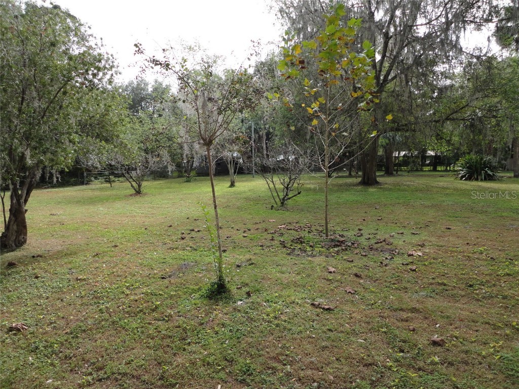 101 NW 3rd Avenue Micanopy FL 32667 GC535520 image3