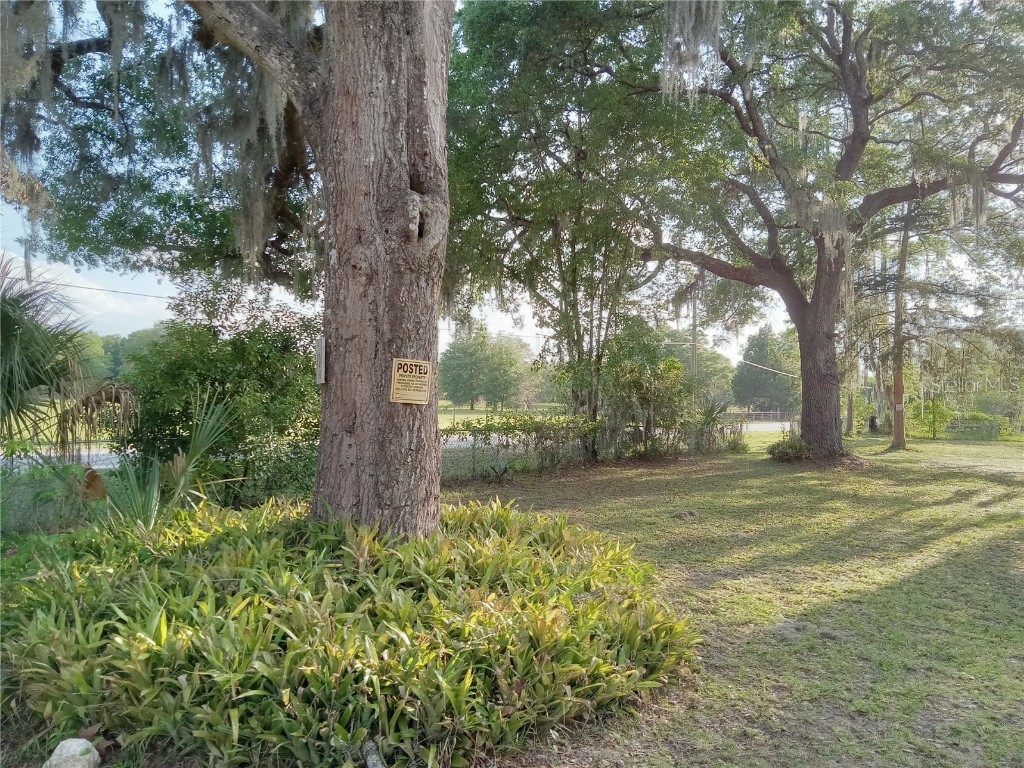 101 Oak Haven Road Pomona Park FL 32181 V4929828 image1