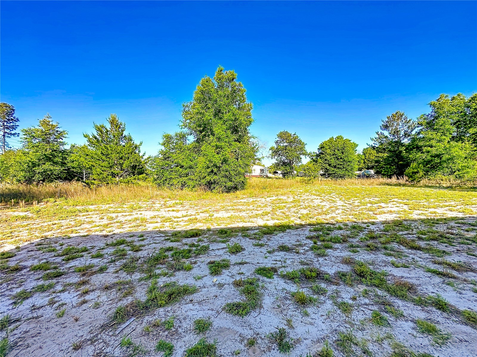 101 Orange Tree Street Pomona Park FL 32181 V4948592 image37