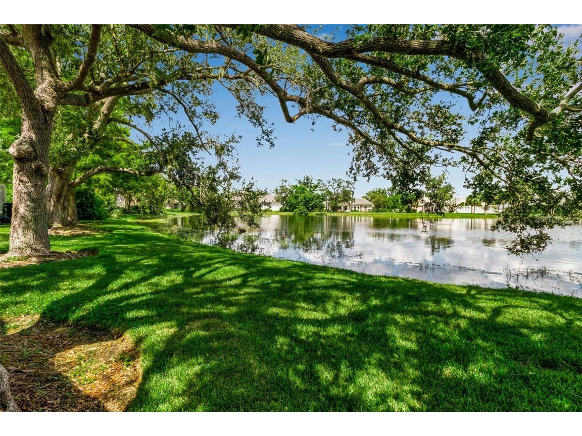 101 Osprey Point Drive Osprey FL 34229 A4664424 image53