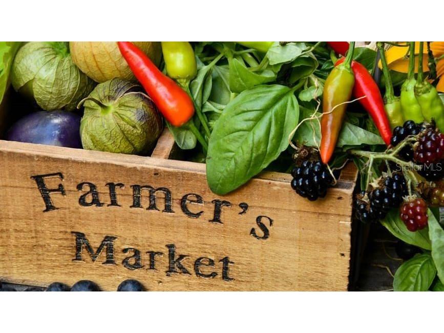 101 Palm Harbor Parkway #A-308A Palm Coast FL 32137 FC316580 image12