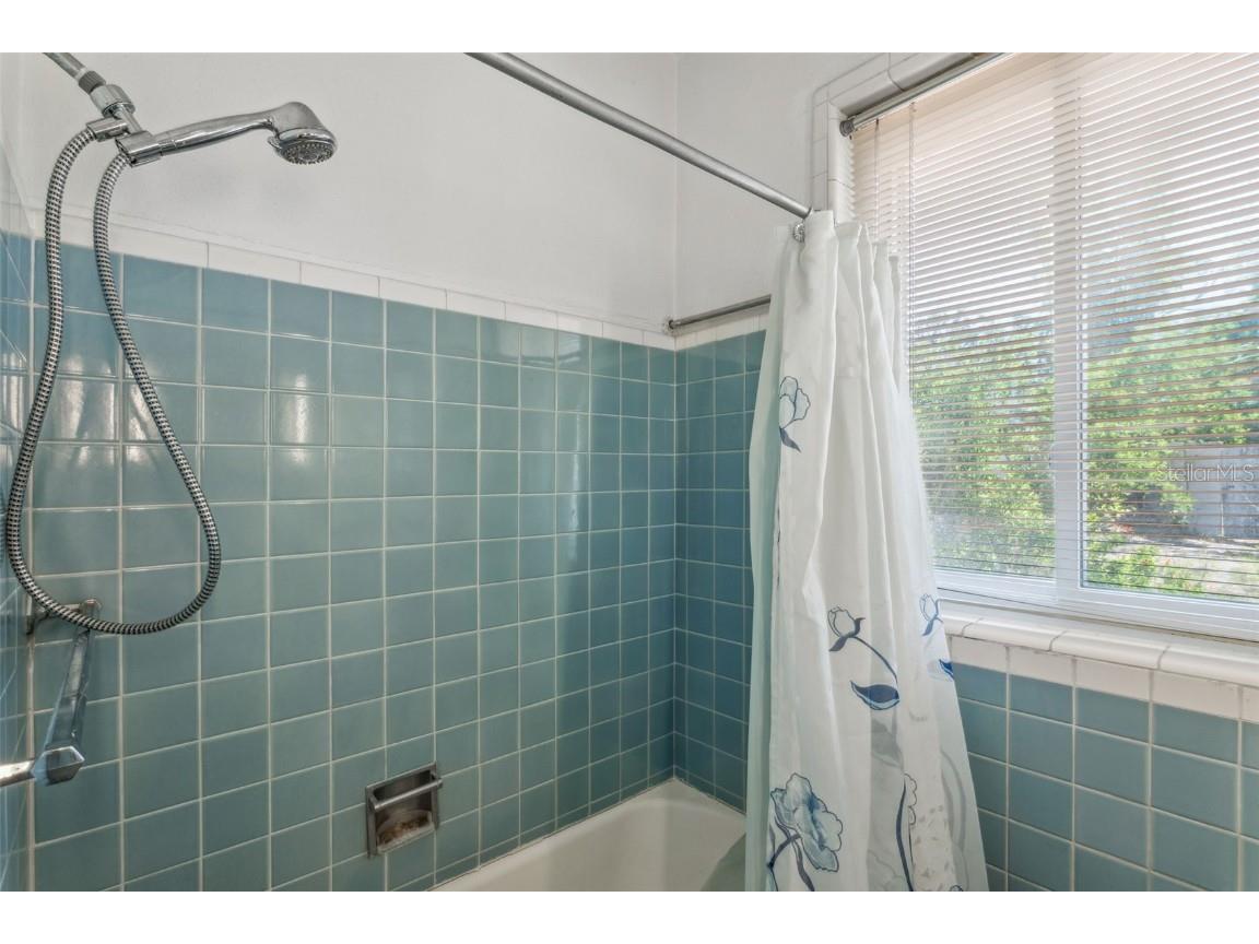 101 Pampas Avenue Tarpon Springs FL 34689 - MINETTA BAYOU TB8373396 image19