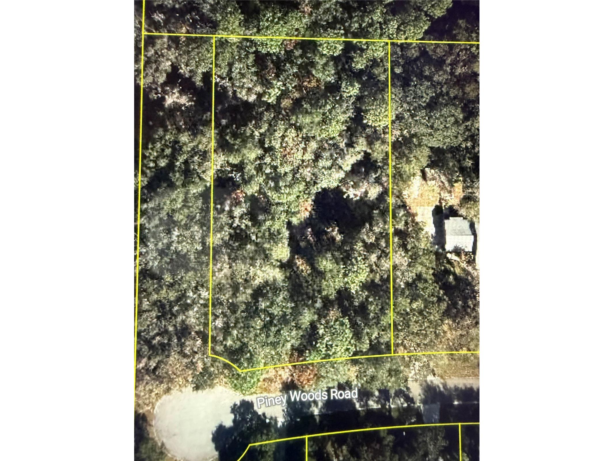 101 Piney Woods Road Apopka FL 32703 O6384178 image1