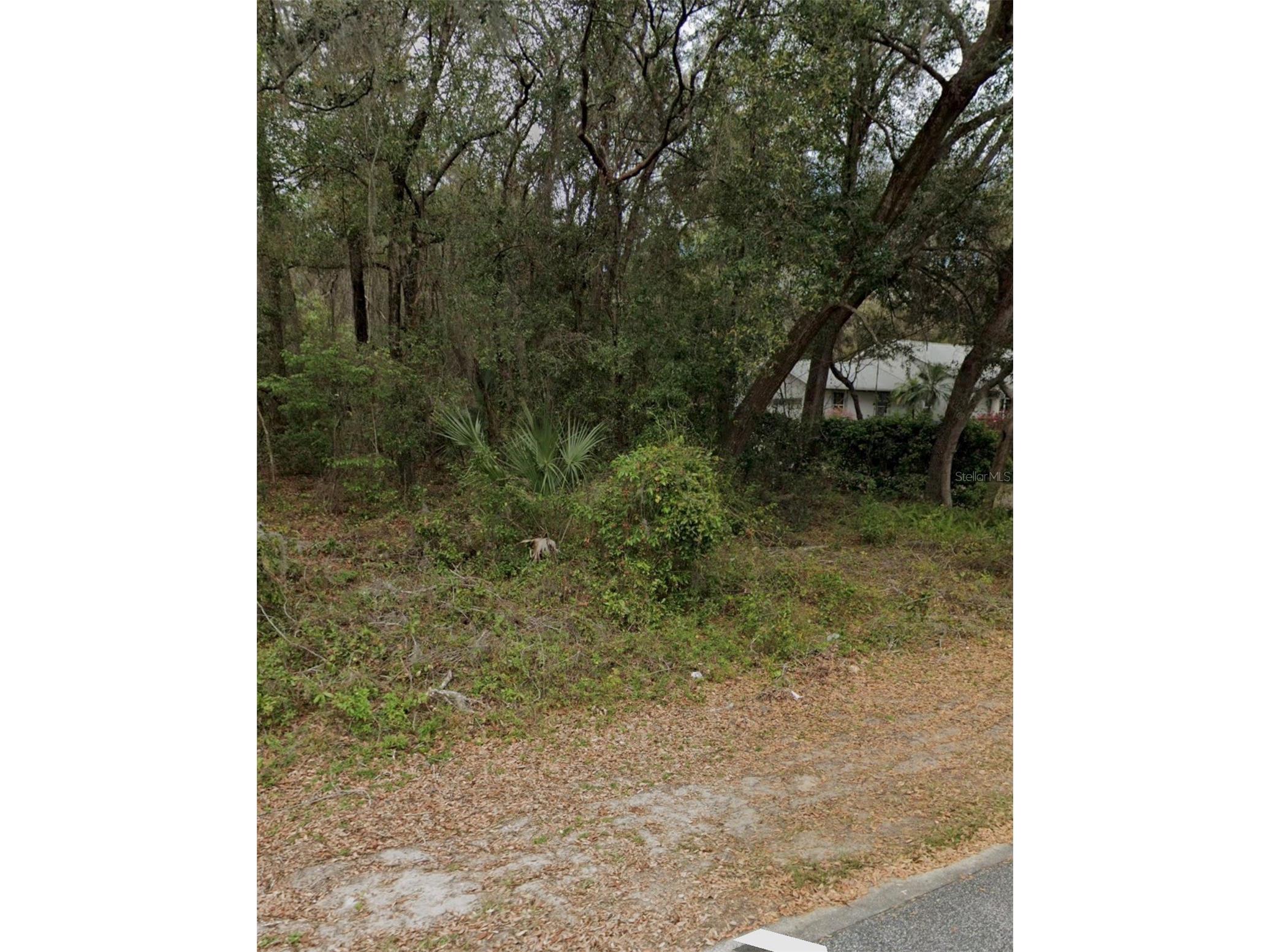 101 Piney Woods Road Apopka FL 32703 O6384178 image2