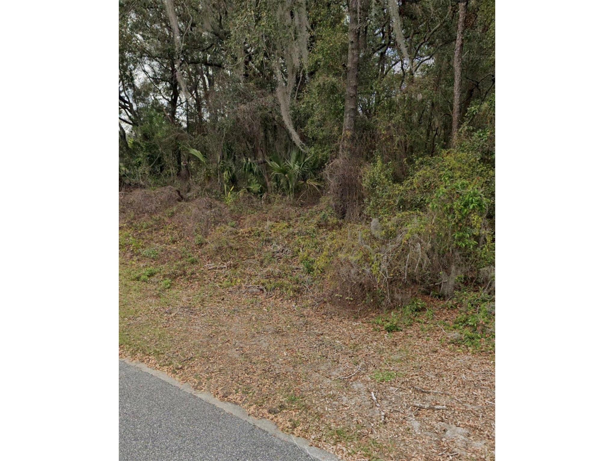 101 Piney Woods Road Apopka FL 32703 O6384178 image3