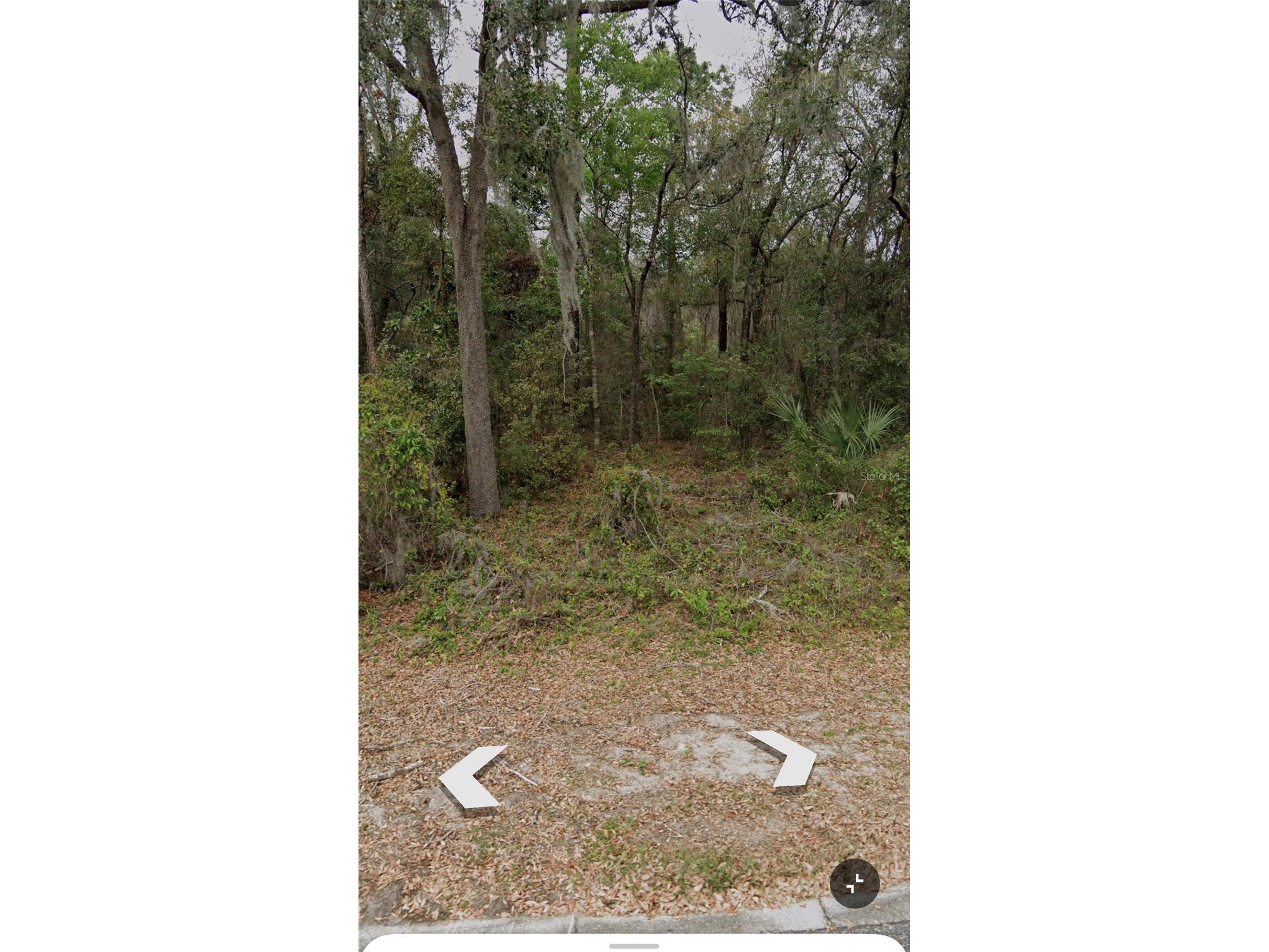 101 Piney Woods Road Apopka FL 32703 O6384178 image4