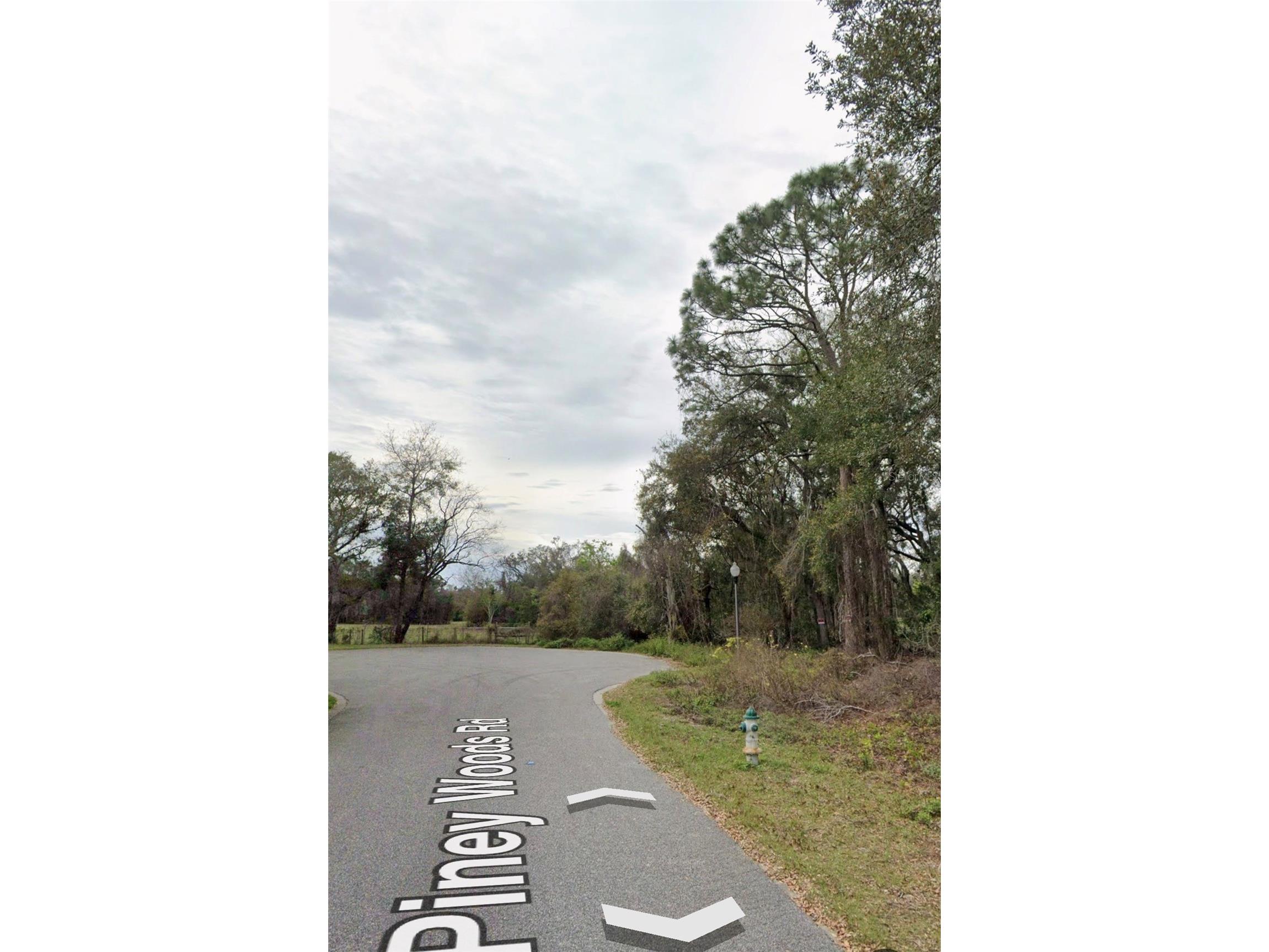 101 Piney Woods Road Apopka FL 32703 O6384178 image5