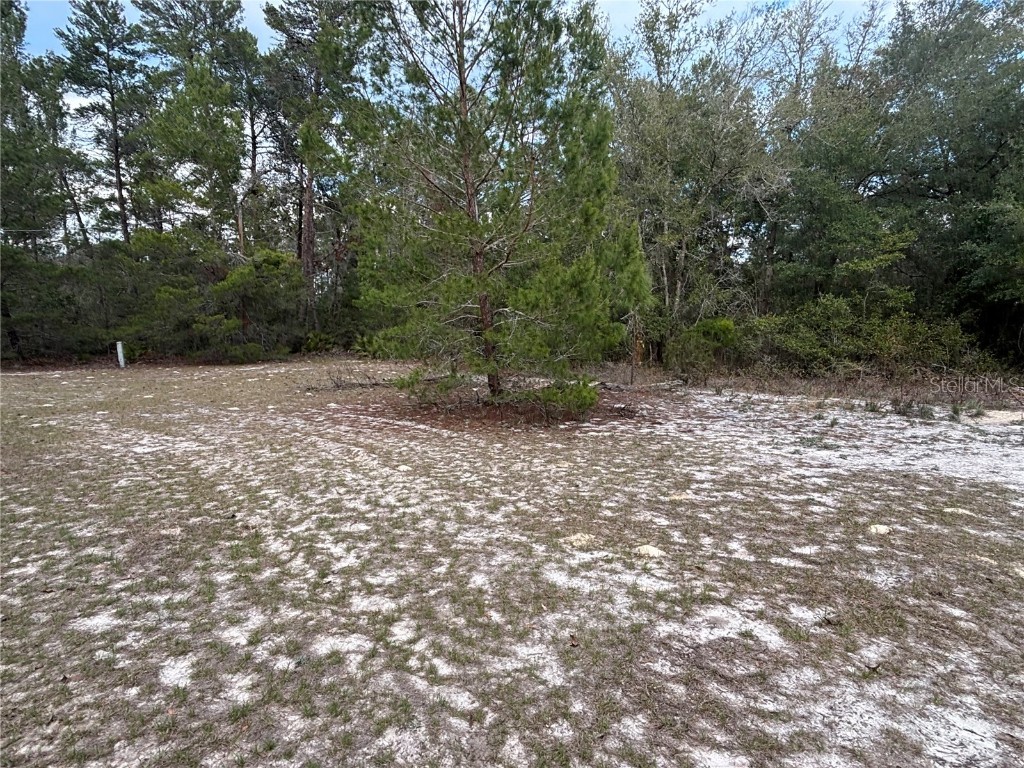 101 Quail Acre Road Pomona Park FL 32181 P4933737 image1