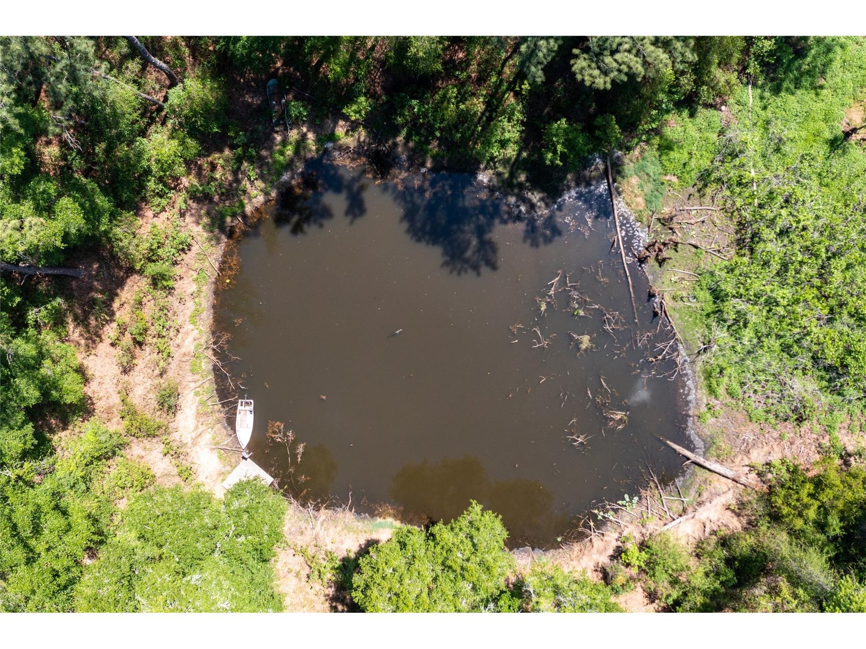 101 Ramsey Drive Melrose FL 32666 GC539905 image95