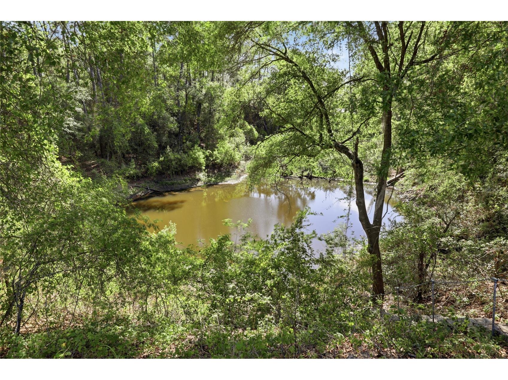 101 Ramsey Drive Melrose FL 32666 GC539905 image96