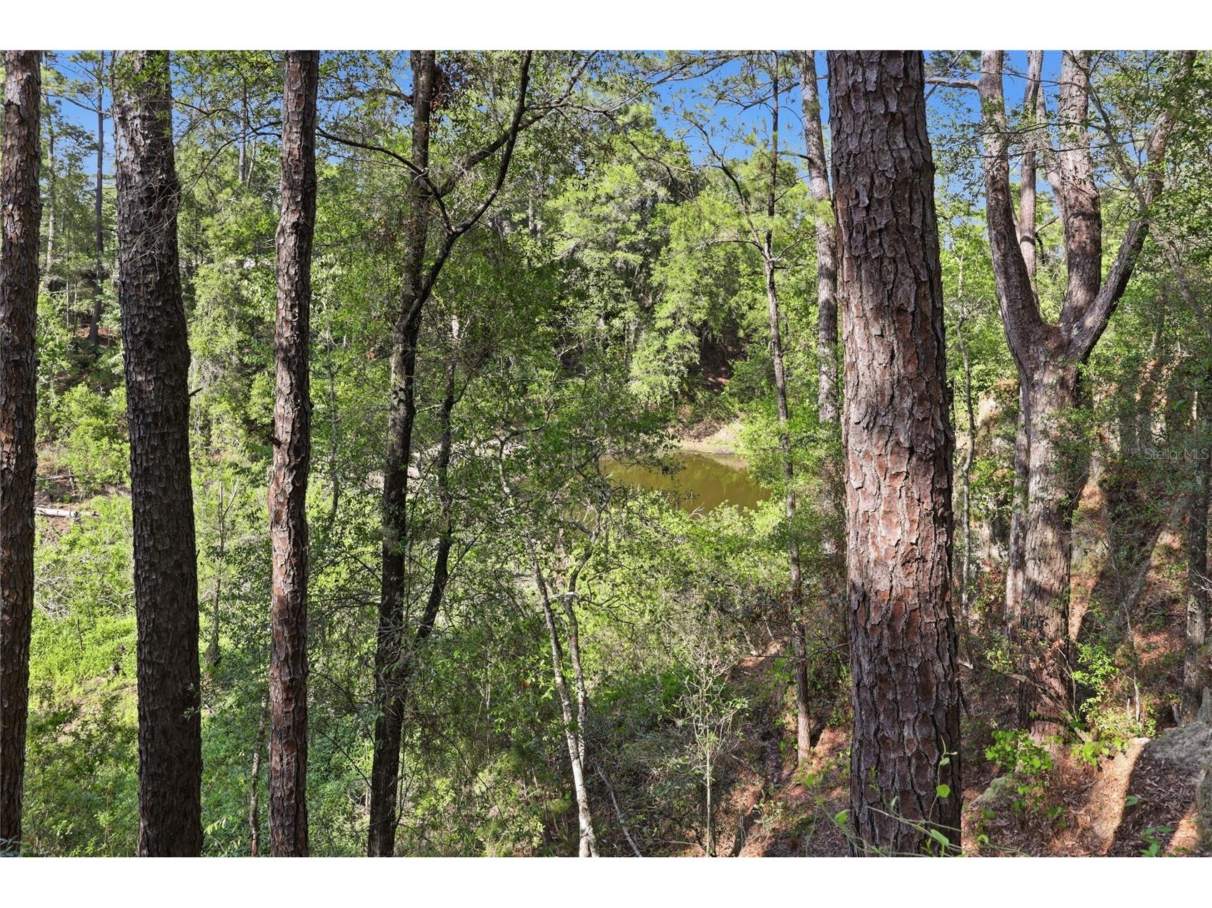 101 Ramsey Drive Melrose FL 32666 GC539905 image97