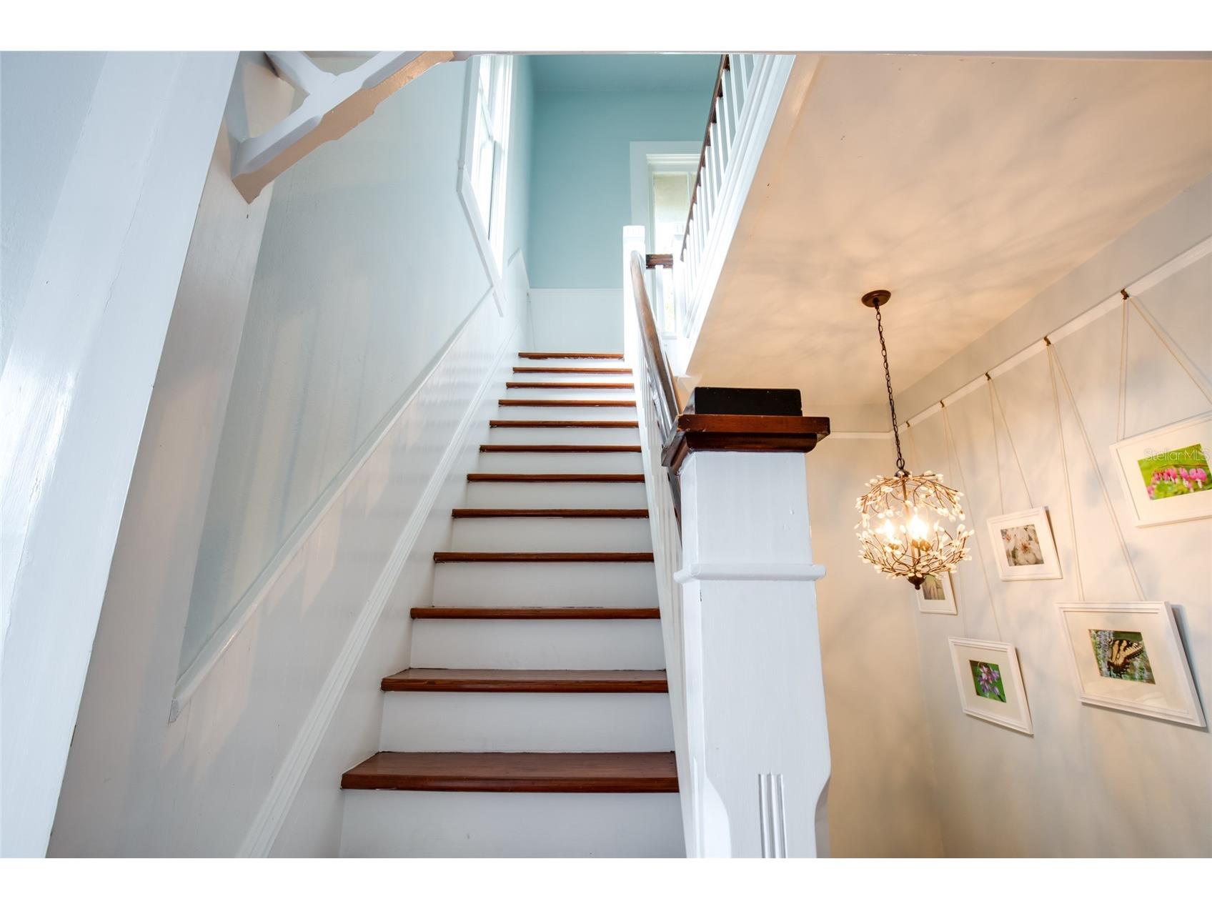 101 Read Street Tarpon Springs FL 34689 TB8429930 image55