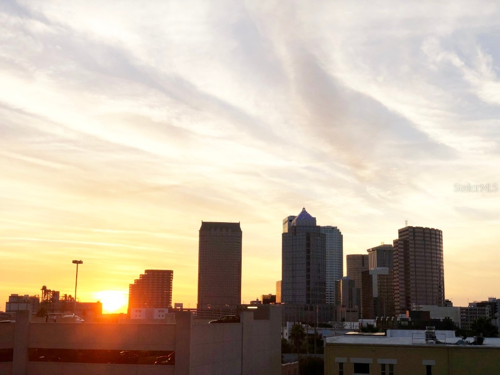 101 S 12th Street #104 Tampa FL 33602 TB8409430 image46