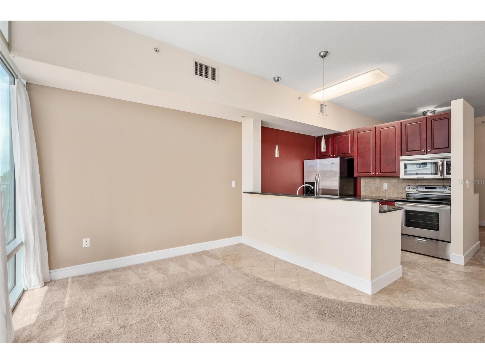 101 S Eola Drive #519 Orlando FL 32801 O6396424 image13