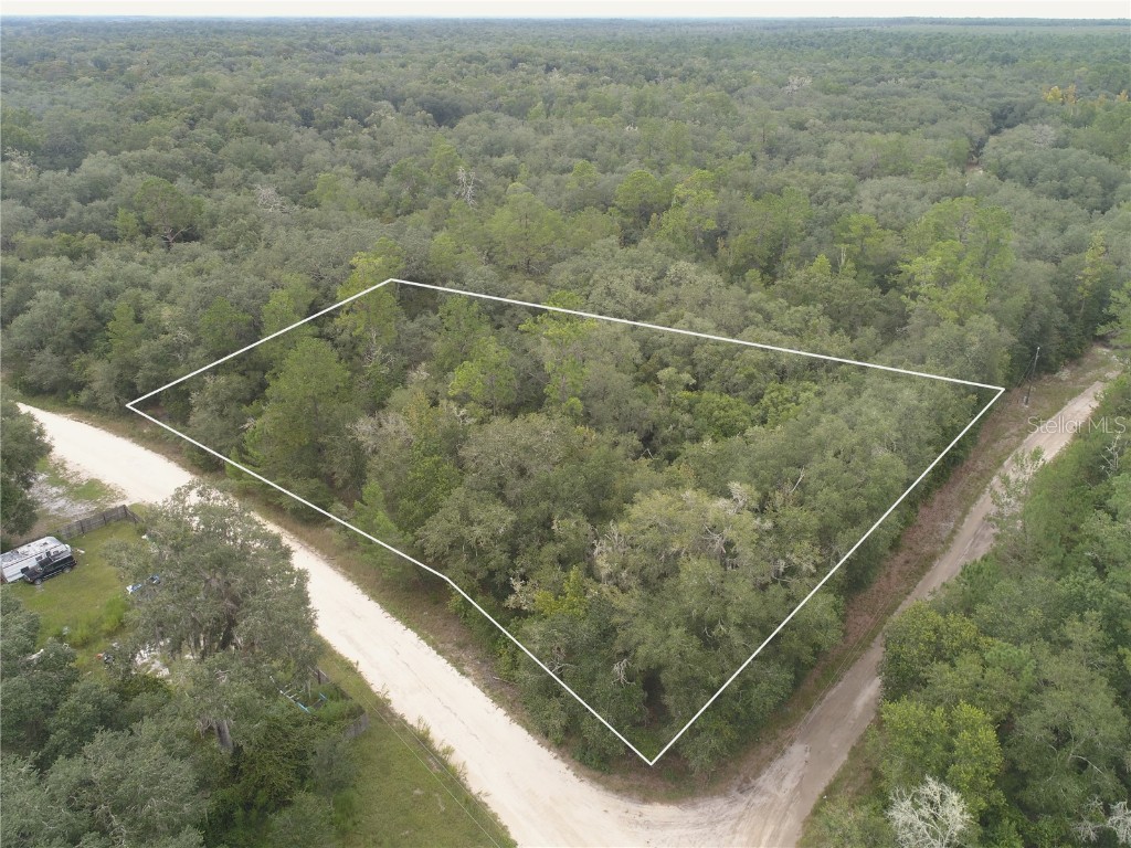 101 Shashy Lane Florahome FL 32140 V4932320 image1