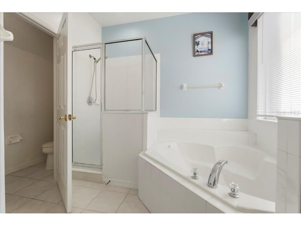 101 Stella Pass Davenport FL 33837 O6302918 image16