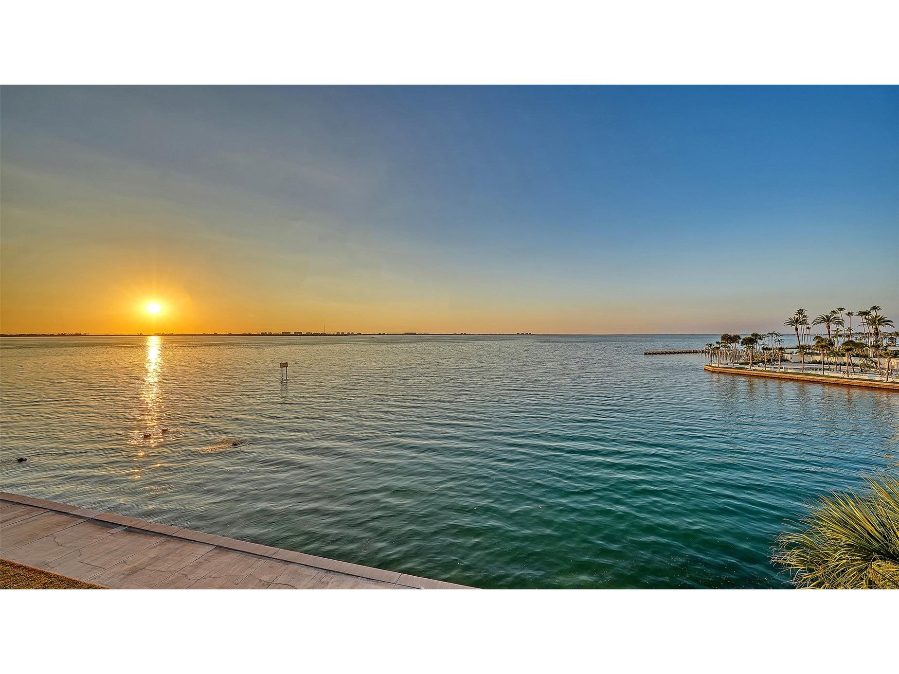101 Sunset Drive #301 Sarasota FL 34236 - SARASOTA BAY A4685269 image4