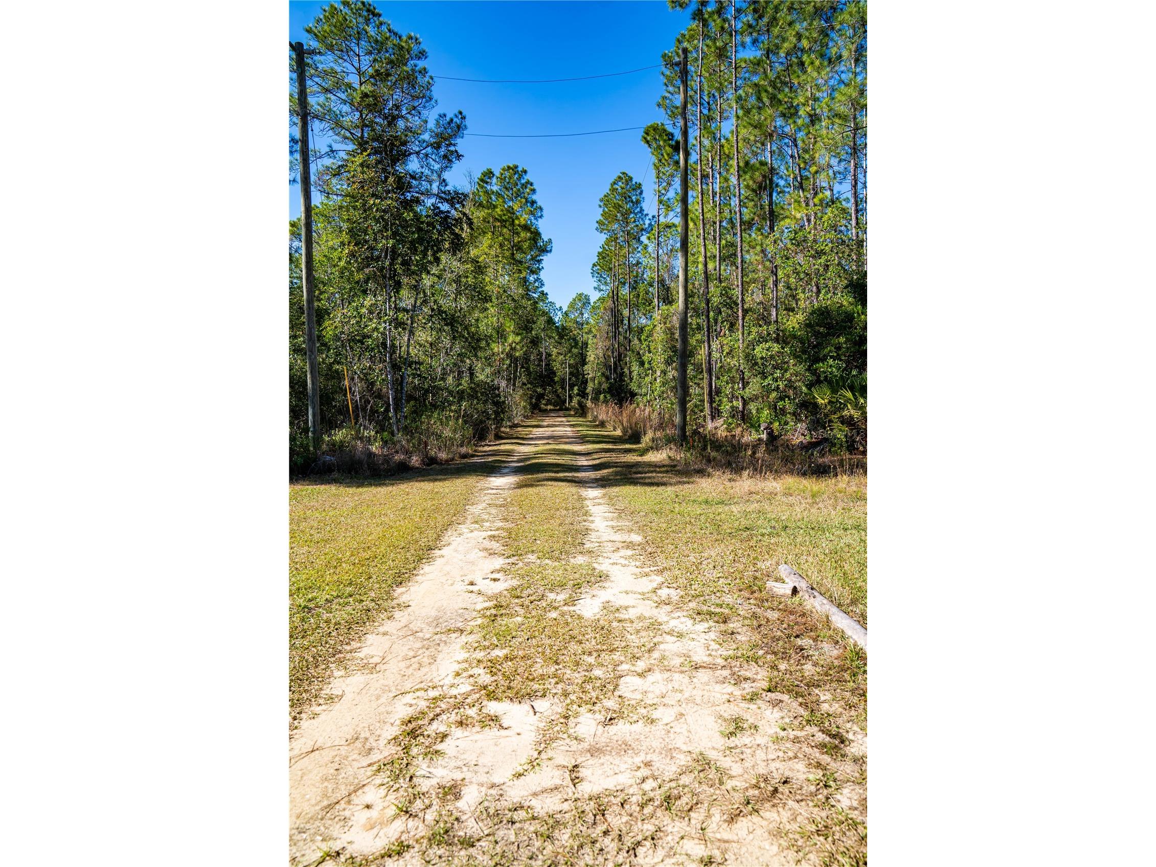 101 Thyme Drive Interlachen FL 32148 TB8459985 image10