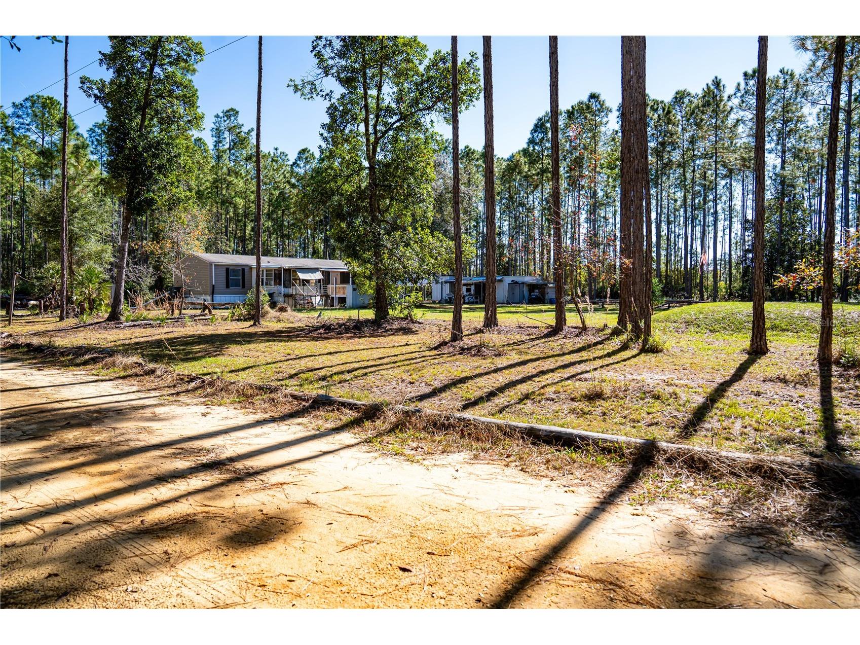 101 Thyme Drive Interlachen FL 32148 TB8459985 image14